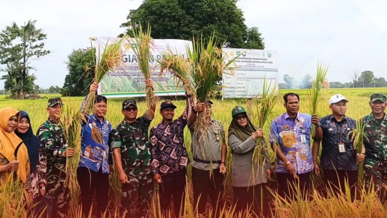 Kegiatan Panen Demplot LKP | Website Resmi Desa Bara Batu
